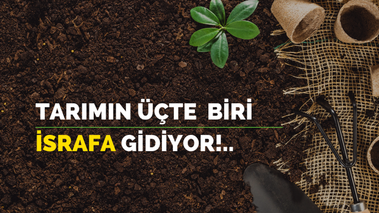 TÜSİAD Başkanı Turan : Gıda israfı, tarımsal üretimin üçte bir