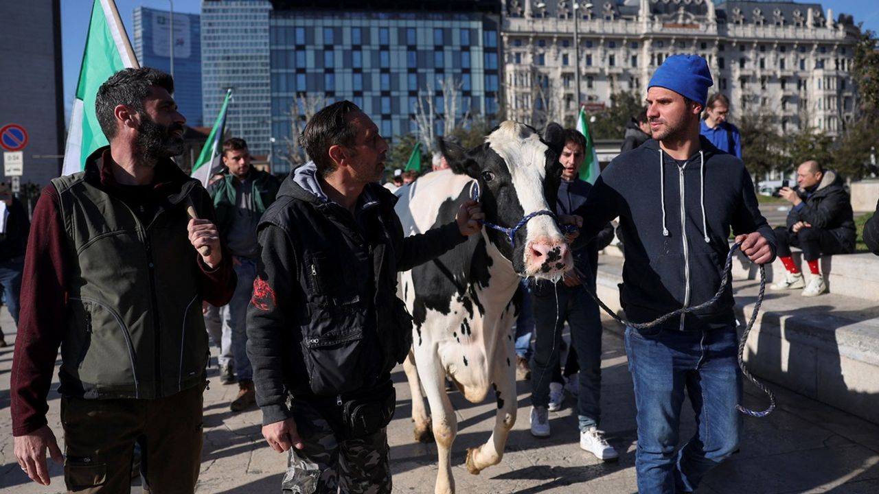 Milano sokaklarında çiftçiler "İnek" ile mesaj verdi!