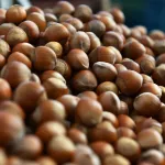 Fındık ihracatında miktar yüzde 36 geriledi
