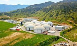 Arf Bio Yenilenebilir Enerji'nin halka arzı yaklaşıyor!