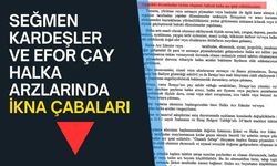 Seğmen Kardeşler ve Efor Çay halka arzında ikna çabaları!