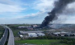 Tekirdağ'da kimyasal boya fabrikasında yangın