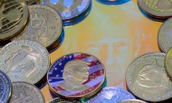 Memecoin’lerle 2 milyon dolar nasıl buhar oldu!