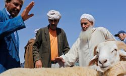 Kuzey Afrika’da koyun krizi! Fiyatlar katlandı, arz düştü