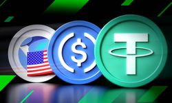 Stablecoin piyasasında şirket ilgisi büyüyor
