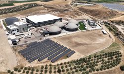 Ruhsat yok, dava çok! Ecogreen yatırımcıyı tedirgin ediyor