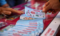 Milli Piyango yılbaşı büyük ikramiyesi 800 milyon TL