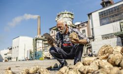 Şeker kotasında yeni dönem rakamları belli oldu