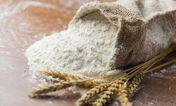 Türkiye’nin buğday unu ihracatı ekimde yüzde 40 arttı