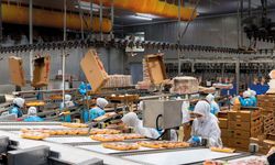 Gıda devlerinden As Piliç halka arz için SPK’ya başvurdu