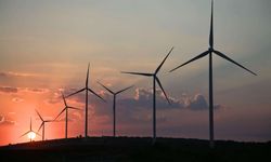 Türker Yenilenebilir halka arz başvurusu yaptı