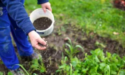 Orta Doğudaki savaş gübrede gümrük vergilerini sıfırlattı