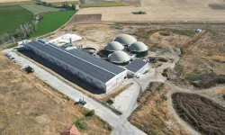 Elestaş halka arz için SPK’ya başvurdu