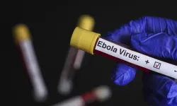 DSÖ yetkilisi: Ebola salgınını kontrol edemiyoruz