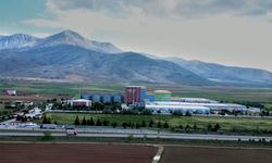 Golda Gıda halka arzı kaç lot verir