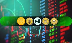 Kripto piyasasında yön zayıf, BNB ve HYPE ayrıştı