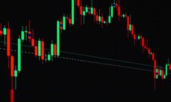 BIST 100 yükseldi, endeksteki hisselerin çoğu geriledi