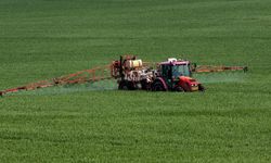 Tarfin Tarım'ın 250 milyon liralık bonolarında vade 21 Ekim