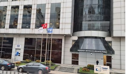 Ditaş'a TMSF kayyım olarak atandı