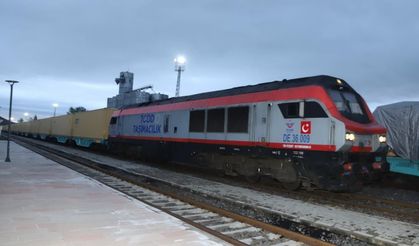 Orta Koridor ihalesi 22 Aralık'ta, Divriği-Kars demir yolu yenilenecek