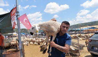 Kurbanlıkta fiyat artışı yüzde 37’ye dayandı