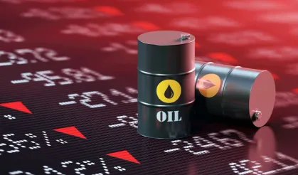 Petrol fiyatları yükselişin ardından geriledi