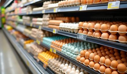 Yumurta zammı market raflarına ne zaman yansıyacak?