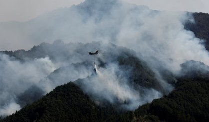 El Nino etkisi küresel yangın riskini büyütüyor