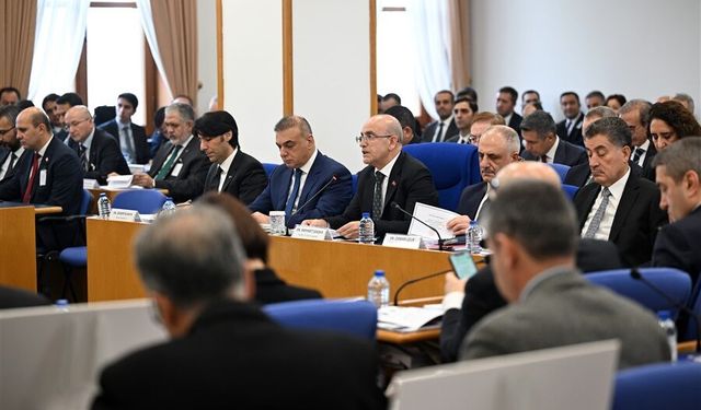 FİK fon piyasasındaki sorunu geçici olarak niteledi