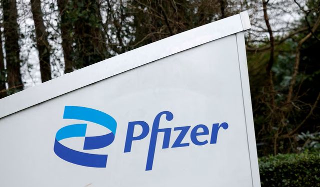 Pfizer, kanser ilacı için 3SBio ile dev anlaşma imzaladı