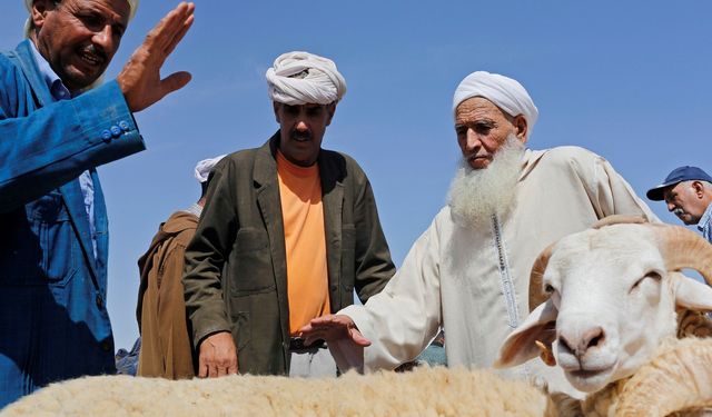 Kuzey Afrika’da koyun krizi! Fiyatlar katlandı, arz düştü