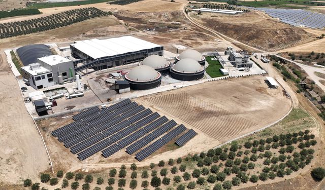 Ecogreen Enerji halka arzına 27 aracı kurumdan rekor ilgi