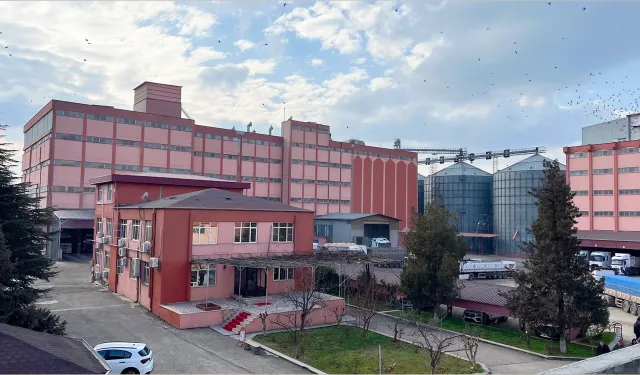 Beşler Makarna Un İrmik Gıda halka arz başvurusu yaptı