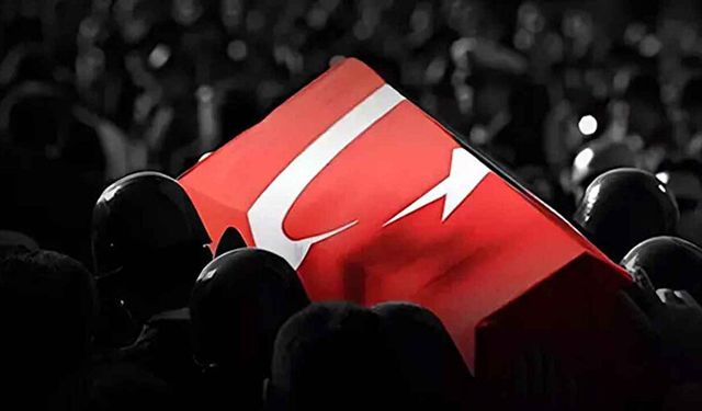 Hırvatistan'da OGM uçağı düştü pilot şehit oldu