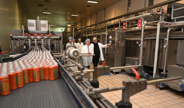 SPK onayladı, Meysu borsaya eleştirilerle giriyor