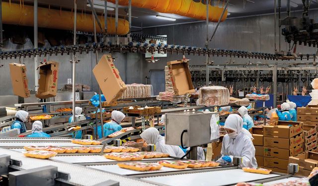 Gıda devlerinden As Piliç halka arz için SPK’ya başvurdu