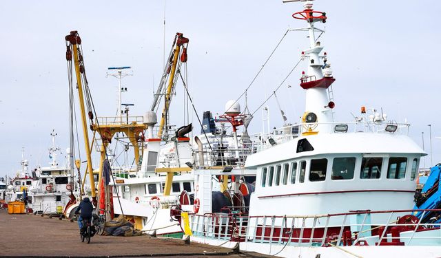 Fırlayan dizel fiyatları Avrupa balıkçılık filosunu vurdu