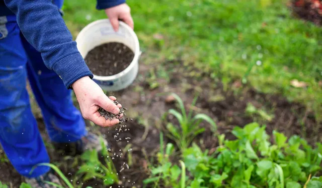 Orta Doğudaki savaş gübrede gümrük vergilerini sıfırlattı