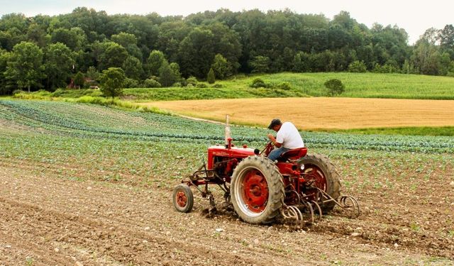 Yargıtay'dan EYT'yi genişleten emsal karar çiftçilere yol açtı