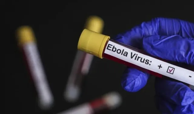 DSÖ yetkilisi: Ebola salgınını kontrol edemiyoruz