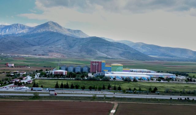 Golda Gıda halka arzına yaklaşık 663 bin talep