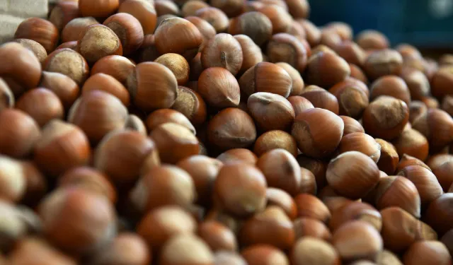 Fındık ihracatında miktar yüzde 36 geriledi