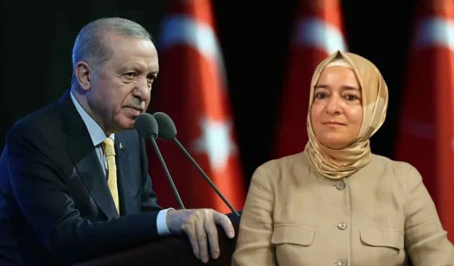 Sayan Kaya'nın istifasında 'Erdoğan derhal istedi' iddiası