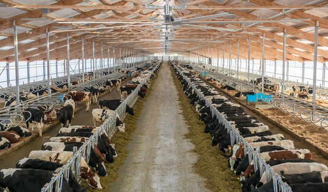 Belgeli personelin topladığı çiğ süte 0,3 katsayılı ilave destek
