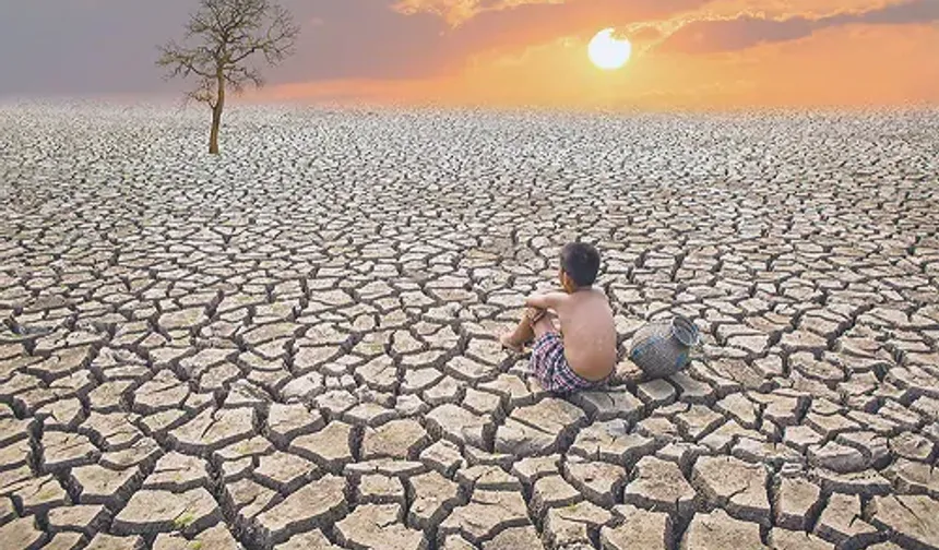 Akdeniz ısınıyor, Türkiye'de gıda arzı tehlikeye giriyor