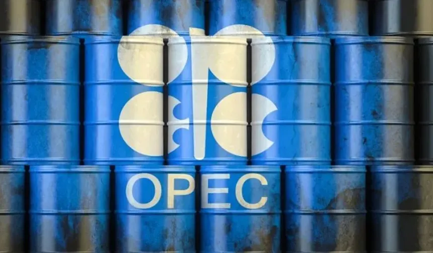 Küresel Petrol Piyasalarında OPEC Dışı Ülkelerin Etkisi Artıyor!