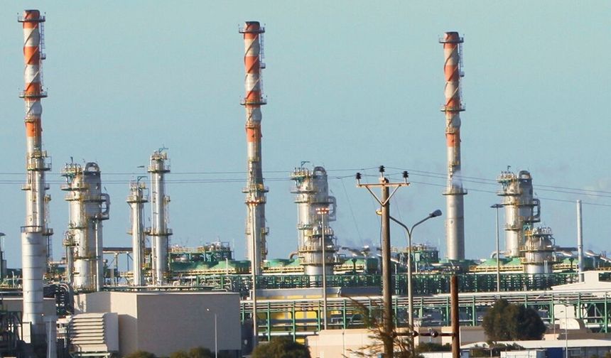 Petrokimyada nafta krizi tesisleri kapatma noktasına getirdi