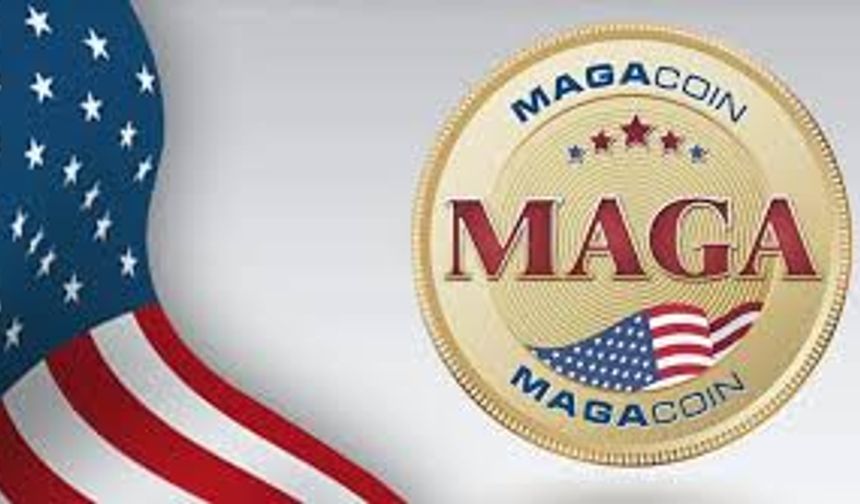 Kripto piyasasında MAGA coin 8 milyon dolar kazandırdı!