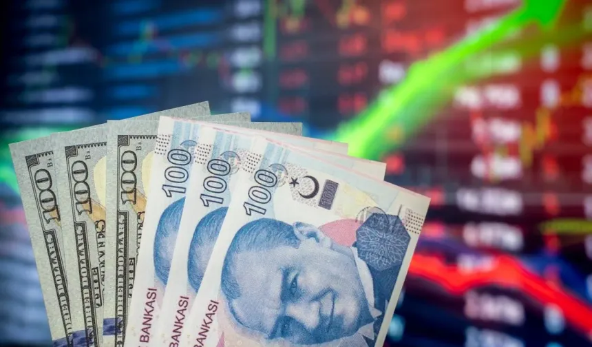Yatırımcı için kritik soru dolar mı yoksa Türk lirası mı?