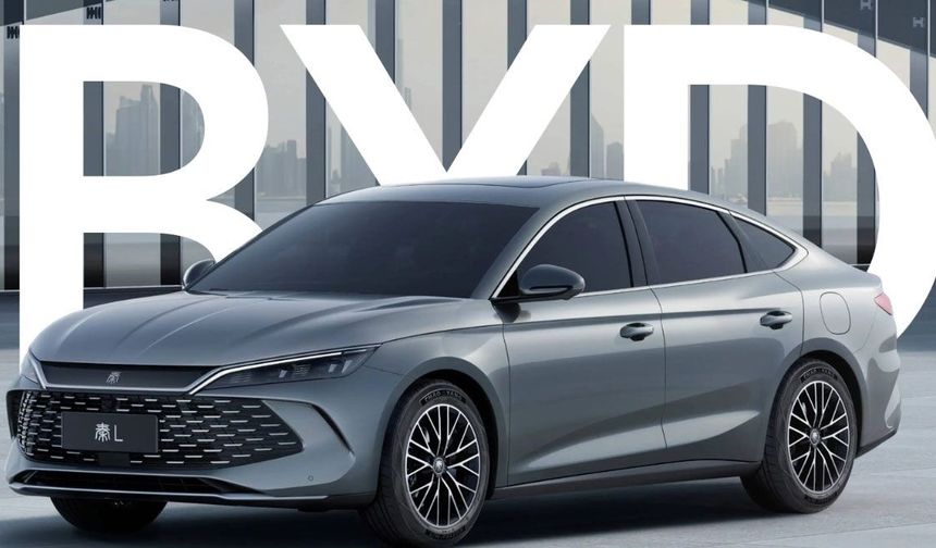 İtalya BYD’nin "Arındırma" reklamını durdurdu